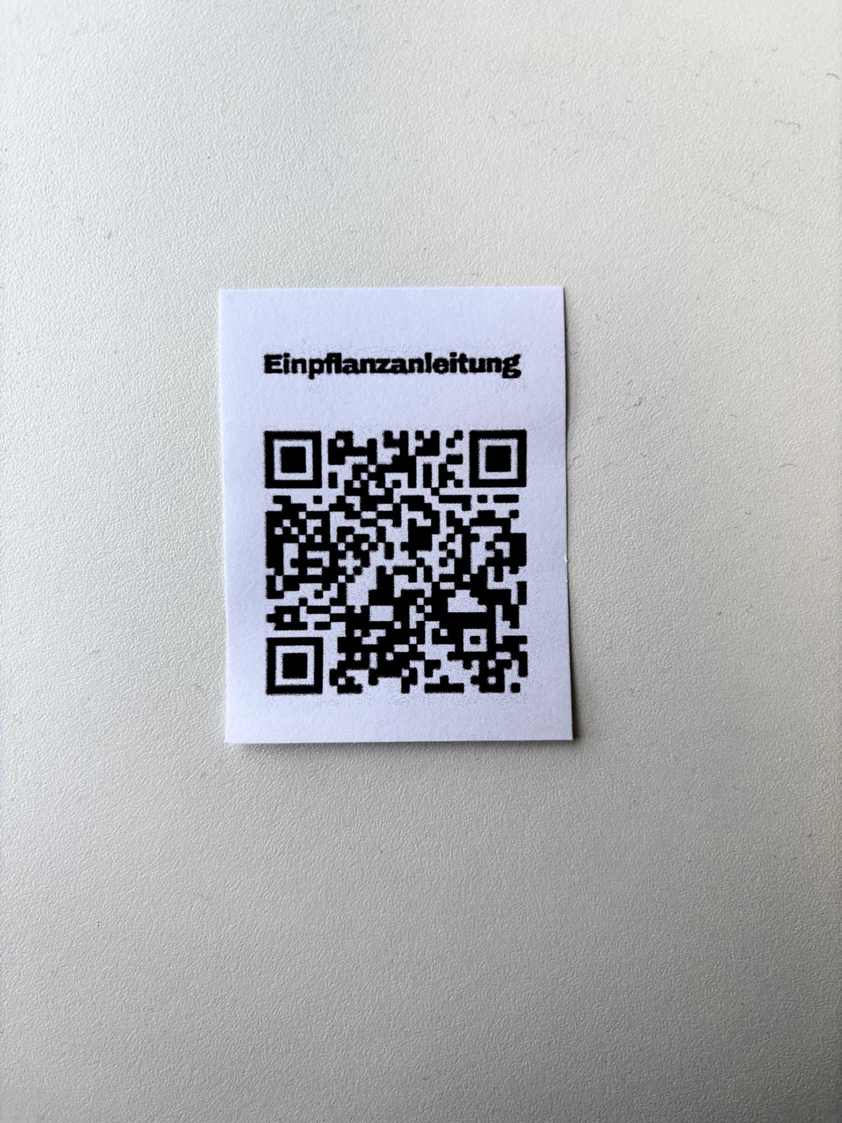 Happy Birthday Pinguin - Geschenkkarte